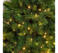 Lotti Importex Luci di Natale Top Quality 5mm Catene Natalizie x Interno Esterno [EEK: A+++]