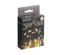 CATENA LUMINOSA A LED NORTHIO 67173, Argento, Bianco caldo