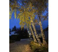 Catena luminosa Natale da esterno 10 mt 100 maxi led con FLASH luci natalizie
