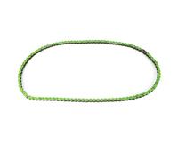 Catena Motociclo 420-106L Acciaio per (B (verde)) | Acciaio Ad Alta Durezza, Resistente Alla Corrosione, Adatto per ATV, Compatibile con , Pezzo di Ricambio