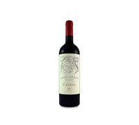 Catena Paraje Altamira Malbec 2024