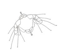 Catena per il corpo in lega alla moda delicata con frange e dettagli accessori da spalla ideale per abiti alla moda giorno per notte elegante gioiello da spalla