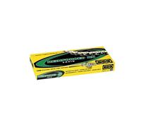 Catena REGINA 124 RH2 Reinforced RS 420 - 140 maglie