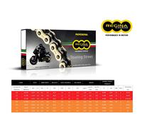 CATENA REGINA 135RT PASSO 520 PER APRILIA RS 125 EXTREMA 92-96