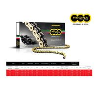 CATENA REGINA 135ZRP PASSO 520 PER SUZUKI DR 800 BIG 88-96