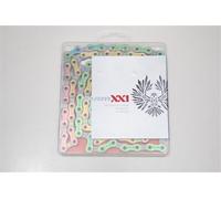 Catena SRAM Rainbow PC XX1 Eagle 12 Speed POWER CHAIN Power-Lock