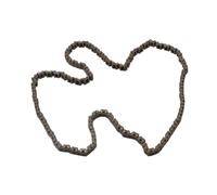 Catena trasmissione Compatibile Con Yamaha Per FJ1100 1984-1985 Per XJR1300 1999-2015 Rullo Di Fasatura Della Camma Per Moto Catena Del Serbatoio Accessori Per Moto OEM: 94590-69156