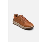 APA CUSH by Caterpillar 40 Marrone