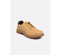 Caterpillar - COLORADO LOW 2 Marrone - Scarpe con lacci 40 Marrone
