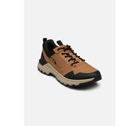 Caterpillar - COLORADO SNE LO Beige - Sneakers 43 Beige