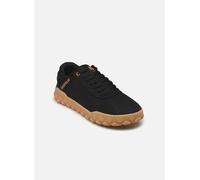 Caterpillar Sneaker Hex + Canvas