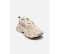 Caterpillar - INTRUDER LITE Beige - Sneakers 41 Beige