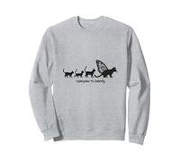 Caterpillar To Caterfly: Stravagante Arte dell'evoluzione del Gatto Felpa, Unisex per Adulti, Grigio Melange, L