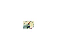 Catetere Vescicale Autolubrificante Easicath Per Donna Ch 08 30 Pezzi