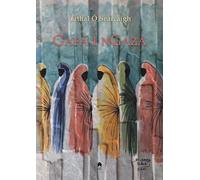 Cathal O Searcaigh Gafa i nGaza (Copertina rigida)
