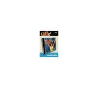 Cathe Friedrich's Cardio Hits (three complete workouts on one DVD)