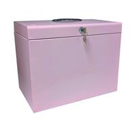 Cathedral Products Scatola portadocumenti in acciaio A4 con confezione iniziale da 5 cartelle sospese, rosa pastello