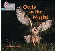 Catherine Baker Owls in the Night (Tascabile)