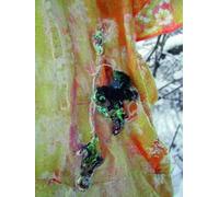 Catherine de Zegher Joseph Backstein Svetlana Boym More Light (Tascabile)