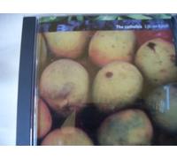 Catholics - Life on Earth