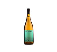 Cati Ribot Malvasia 2025