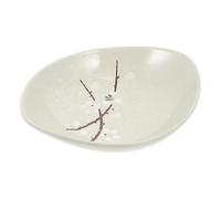 CATIEBYE Piatto in Ceramica Dipinto a Mano per Casa Piatto da Portata per Insalata e Dessert Creativo in Ceramica per Uso Quotidiano e Intrattenimento