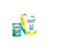 Catisfactions Snack per Gatto, Delizioso Salmone, 6 Confezioni da 60 g
