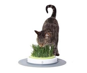 Catit Design Senses Erba del Giardino