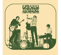 Cato Salsa Experience - A Good Tip for a Good Time