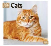 Cats 365 Days 2024 Calendar