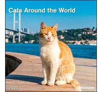 CATS AROUND THE WORLD GRID CALENDAR 2023
