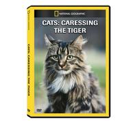 Cats: Caressing the Tiger (DVD)