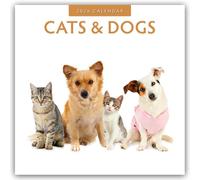 Cats & Dogs - Katzen & Hunde 2026 - 16-Monatskalender: Original Red Robin Publishing Ltd-Kalender [Mehrsprachig] [Kalender]