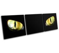 Cats Eyes Animals TREBLE TELA parete arte foto stampa