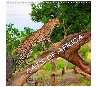 CATS OF AFRICA (Wall Calendar 2026 12" x 24" / 30 x 60 cm (aperto) CALVENDO 12 Month Wall Calendar: Lions, cheetahs and leopards in the Nature (CALVENDO Places)