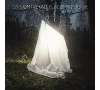 Cats On Fire - All Blackshirts To Me