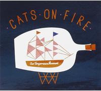 Cats On Fire Our Temperance Movement
