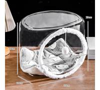 Cats Space Clear Capsule Activity Center Peluche Gatto gioca a palla per