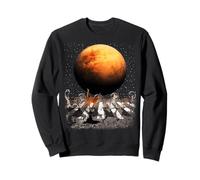 Cats Walking in Space Cat Astronaut Mars Planet Cat Lover Felpa