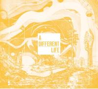 CATT A Different Life (CD) Album