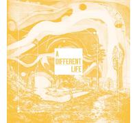 CATT A Different Life (Vinyl LP) 12" Album