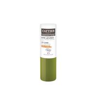 Balsamo labbra bio riparatore e nutriente con burro di mango, 4 g, Cattier