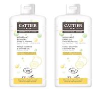 Cattier schiumatura del siero Famiglia in 500ml (Confezione da 2)