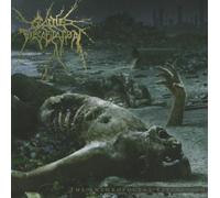 The Anthropocene Extinction