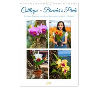 Cattleya - Breeder's Pride (Wall Calendar 2027 DIN A4 portrait), CALVENDO 12 Mon
