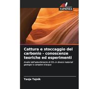 Cattura e stoccaggio del carbonio - conoscenze teoriche ed esperimenti: Analisi dell'adsorbimento di CO¿ in diversi materiali geologici e campioni d'acqua