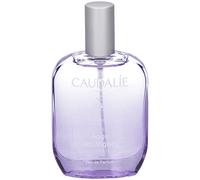 ANGE DES VIGNES EDP 50ML
