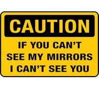 Caution - If You Can't See My Mirrors I Can't See You, piccolo cartello rettangolare per casa/affari, cartello acrilico per finestra/porta d'ingresso (15,2 x 20,3 cm)