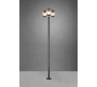CAVADO PALO ALTO DA ESTERNO ANTRACITE CON 3 DIFFUSORI TRASPARENTI IP44 H. 220CM 3 LUCI ATTACCO E27