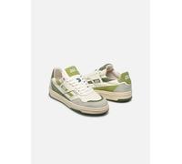 Caval - Playground W Verde - Sneakers 41 Verde